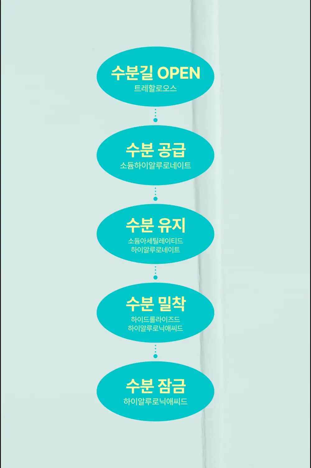 [수딩진정] 넘버즈인 1번 판토텐산 액티브업 수딩세럼 50ml 상세페이지 12